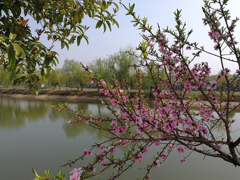 1584501918124369.jpg 微信圖片_20200318112114_副本.jpg