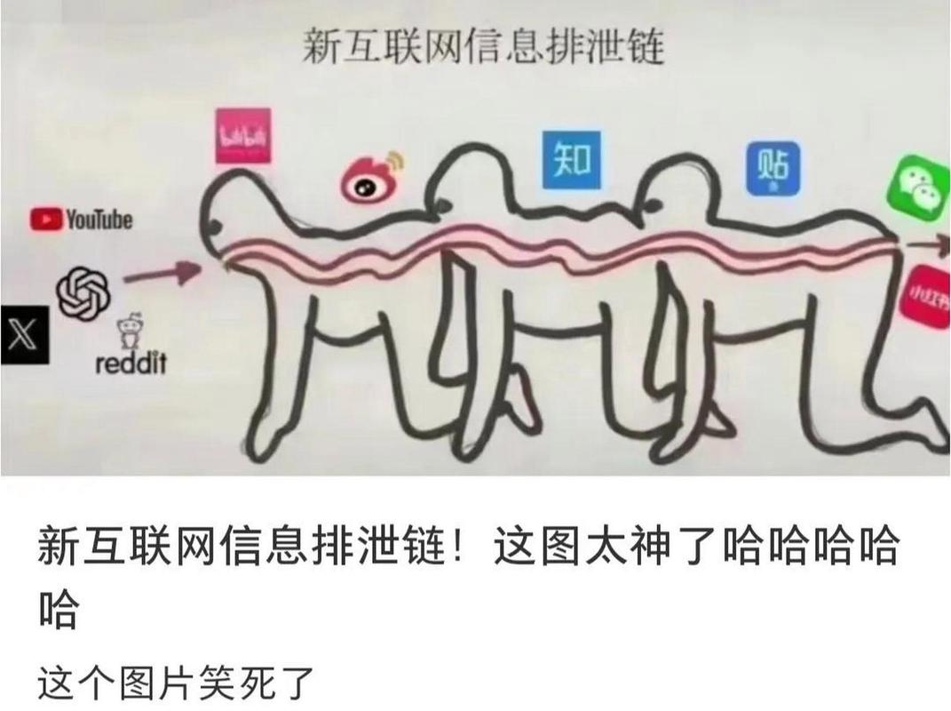 中國的互聯(lián)網(wǎng)信息服務(wù) 走向更加清朗健康的發(fā)展道路